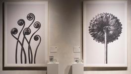 Imagen principal de la ficha